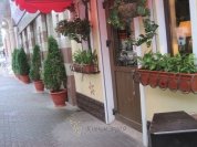 Кованая подставка для цветов №116 в Екатеринбурге фото